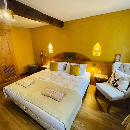 Historisches Gaestehaus Au Faucon Von 1535 Konukevi 4*
