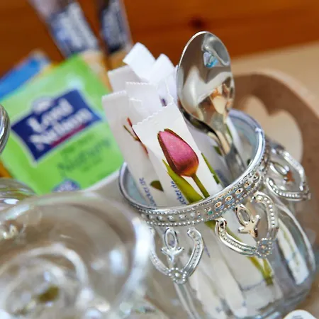 Historisches Au Faucon Von 1535 4* Wissembourg