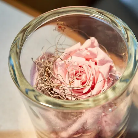 Historisches Au Faucon Von 1535 Gasthof Wissembourg